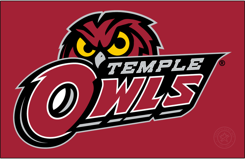 Temple Owls 2017-2020 Primary Dark Logo DIY iron on transfer (heat transfer)